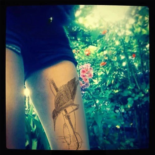 Chic Statement Tights